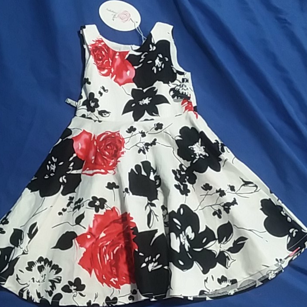 Happy Rose toddler size 2 dress NWT